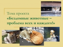 Презентация проекта на тему  Бездомные животные -проблема всех и каждого