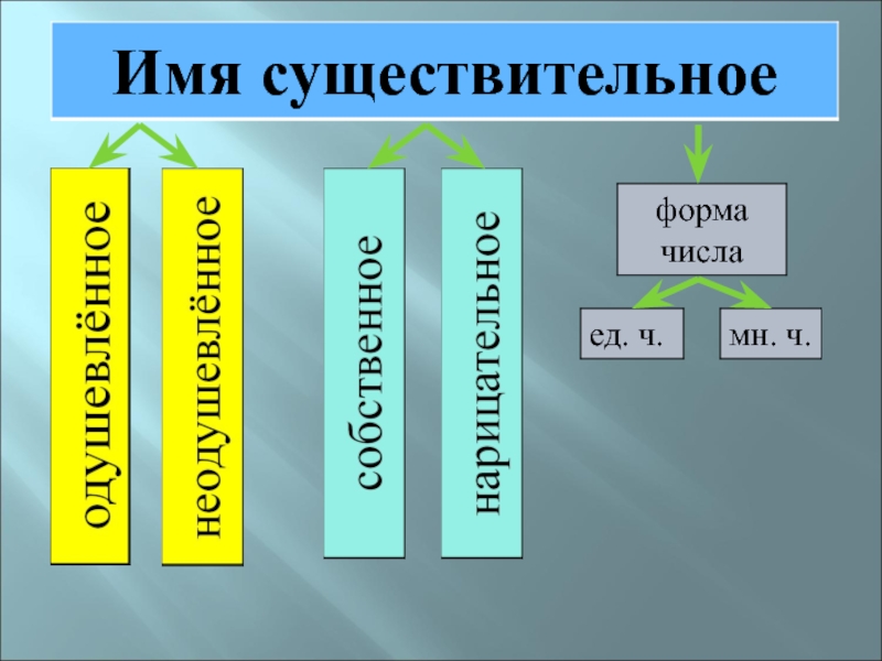 Презентация по русскому языку имя существительное