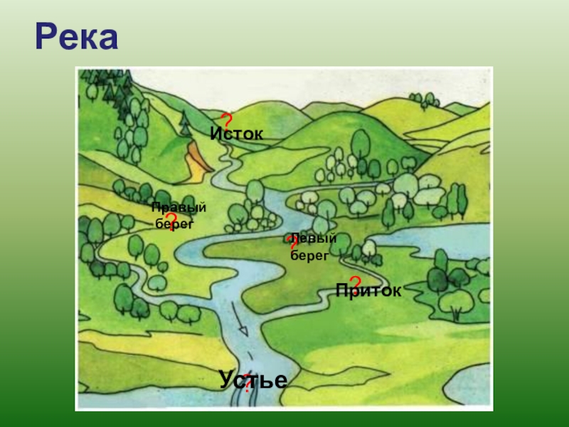 Подписать берег. Рисунок Устье реки 2 класс. Что такое берега реки 2 класс. Правый берег рисунок. Рисунок реки 2 класс окружающий мир.