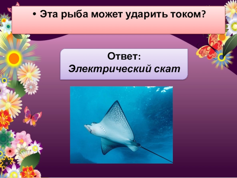 Электрический ответ. Скат. Скат может ударить током. Рыба которая может ударить током. Электрические скаты фото светятся.