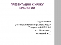 Презентация к уроку биологии Строение ядра клетки (9 класс)