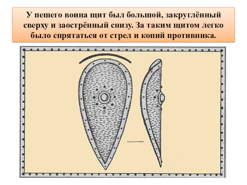 Щит русского воина рисунок