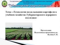 Технологии возделывания картофеля в учебном хозяйстве Губернаторского аграрного колледжа