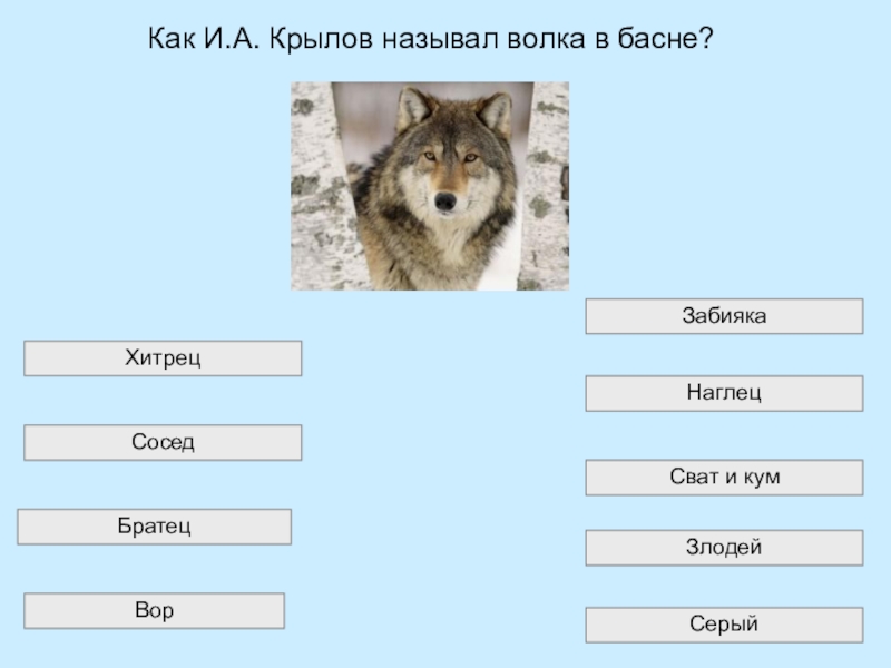 Почему волк назван волком. Как можно назвать волка. Волк как еще можно назвать. Синквейн волк. Как можно назвать волка по другому.