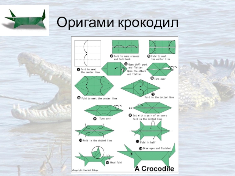 Оригами крокодил схема для детей простая