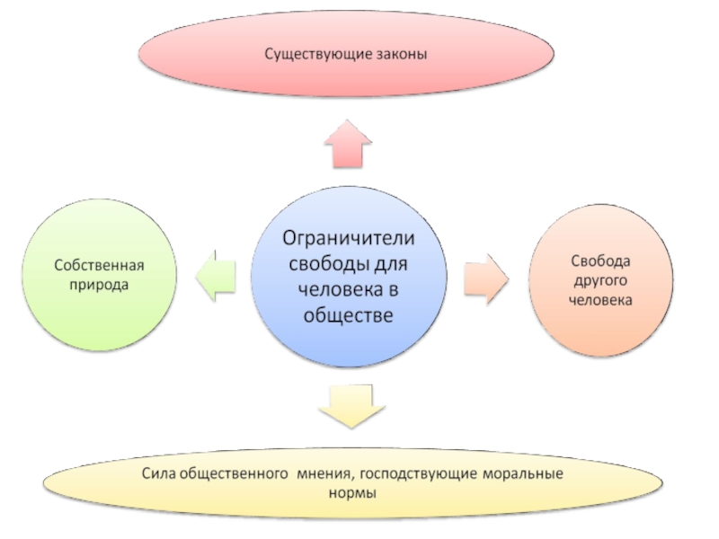 Реферат по обществознанию. Общественная и моральная ответственность дизайна. Свобода исследования это.