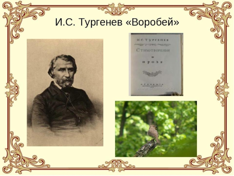 Воробей тургенев читать полностью с картинками бесплатно