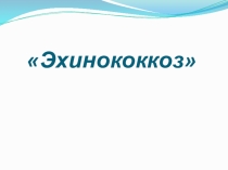 Презентация по МДК 01. 01. 04 Паразитология и инвазионные болезни на тему: Эхинококкоз