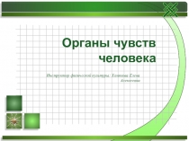 Анализаторы человека