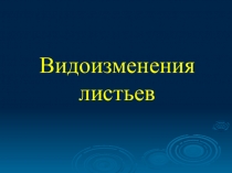 Презентация  Видоизменение листьев