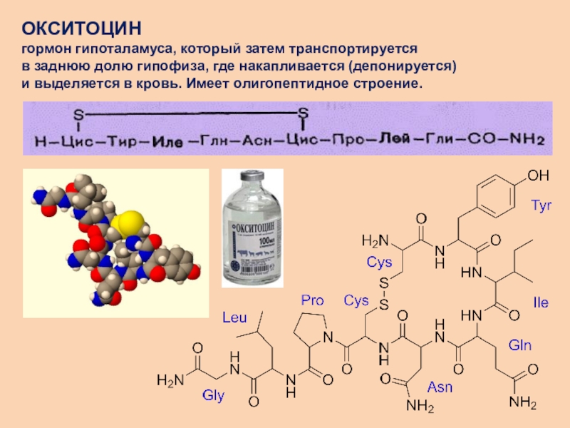 Презентация гормон окситоцин