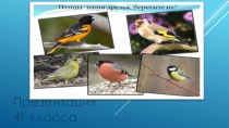 Презентация Птицы наши друзья, берегите их!