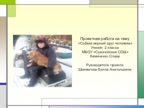 Презентация окружающий мир 2 класс