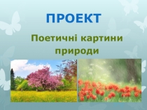 Презентация урока чтения на тему Поетичні картини природи