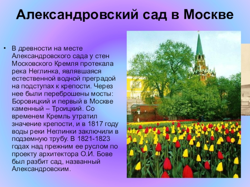 Доклад: Александровский сад