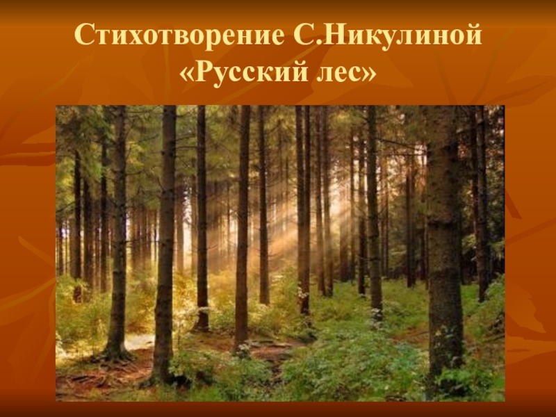 Русский лес 4. Презентация на тему лес. Стихотворение о русском лесе. Стих Никулина русский лес. Автор стихотворения русский лес.