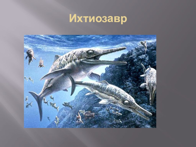 Ихтиозавры стегоцефалы. Ихтиозавры Триасового периода. Мезозойская Эра ихтиозавры. Ихтиозавр динозавр. Ихтиозавр для детей.