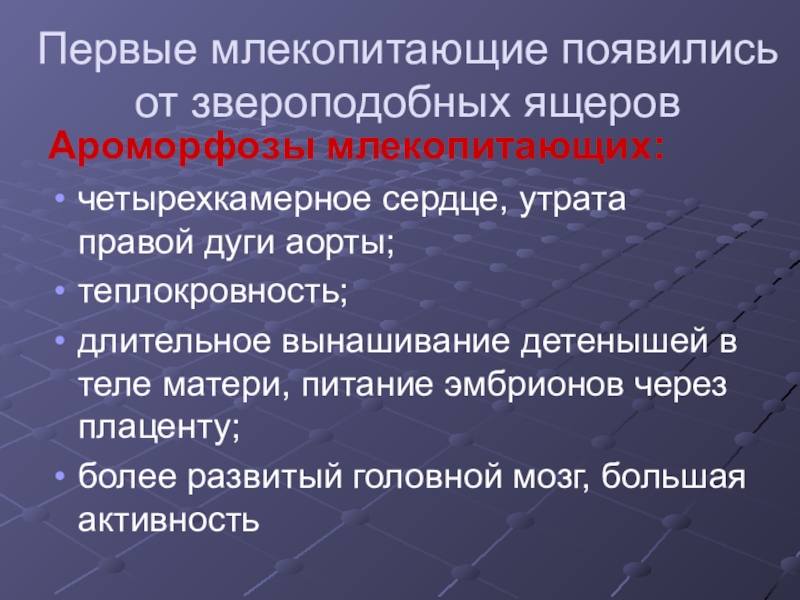 Какие млекопитающие появились впервые. Как появилась теплокровность. Теплокровность.