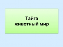Животный мир тайги