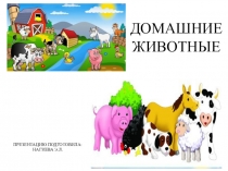 Презентация по теме Домашние животные для детей от 1,5 до 2 лет
