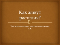 Презентация по окружающему миру на тему Как живут растения (1 класс)