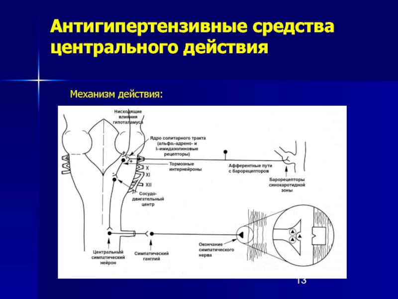 Механизм действия противокашлевых препаратов. Гипотензивные средства симпатолитики. Противокашлевые механизм действия. Альфа и бета адреномиметики механизм действия. Механизм действия анальгетиков.
