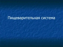 Презентация по биологии на тему  Пищеварительная система 8 класс