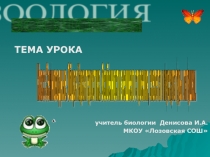 Презентация по биологии на тему Класс земноводные. Общая характеристика. Внешнее строение. (7 класс)