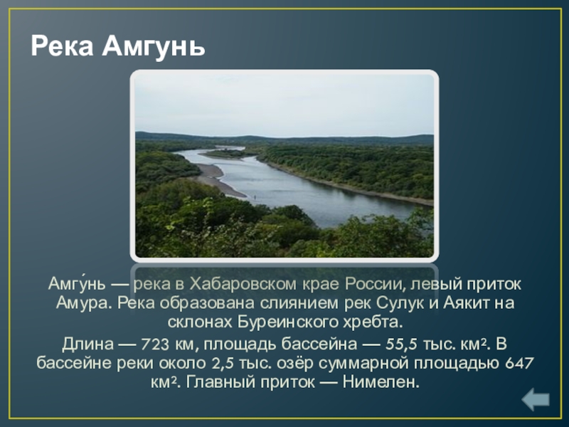 Река амур проект