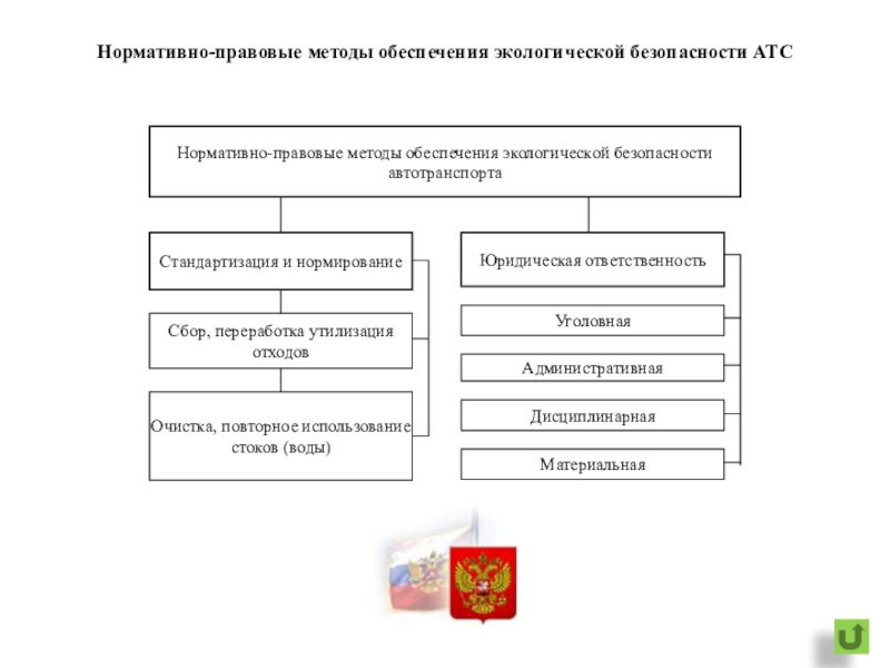 Экологическая безопасность схема