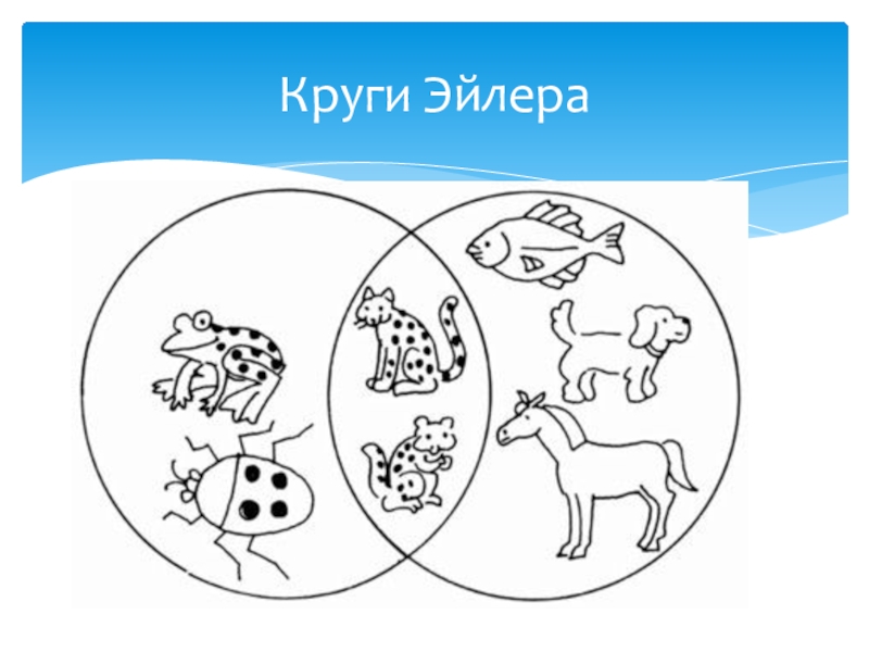 Как рисовать круги эйлера в ворде