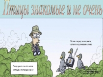 Презентация Птицы