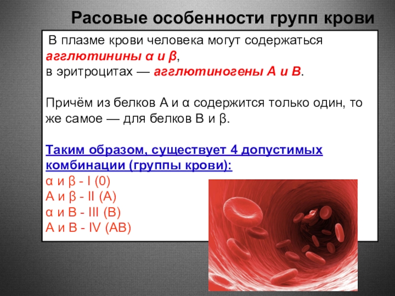 Наибольшее количество крови содержится. Что содержится в крови человека. В плазме содержится:. Воды в плазме крови содержится. Агглютинины в плазме крови.
