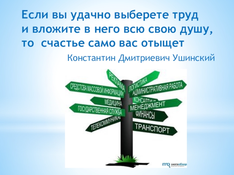 Если вы удачно выберете труд и вложите в него всю свою душу, то  счастье само вас отыщетКонстантин