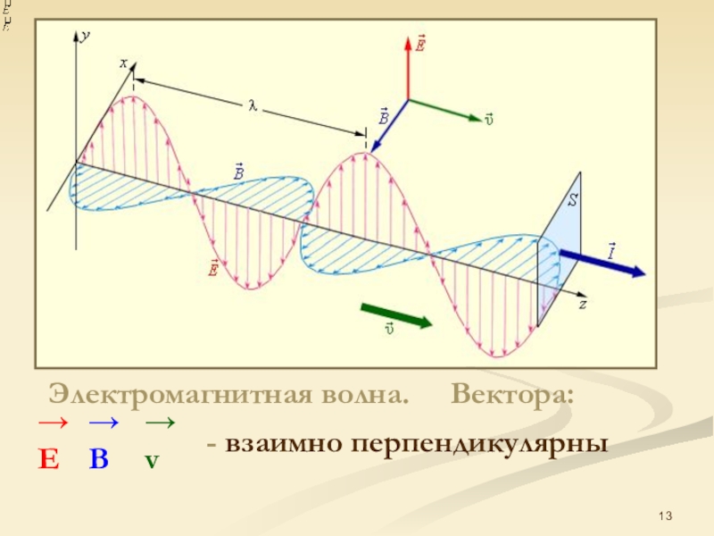 Электрический вектор волны