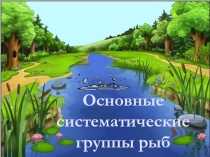 Презентация по биологии на тему Основные систематические группы рыб 7 класс