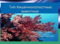 Презентация по биологии на тему Тип Кишечнополостные (7 класс)