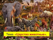 Презентация по биологии для 5 класса на тему: Царство животные.