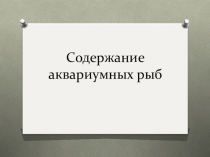 Содержание аквариумных рыб