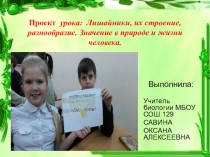 Презентация проекта урока по биологии на тему:  Лишайники