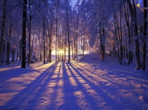 Презентация по литературному чтению С. Михалков В снегу стояла ёлочка (2 класс)