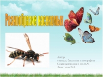 Презентация по биологии Разнообразие насекомых