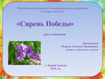 Урок технологии Изготовление сирени