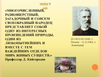 Презентация по биологии на тему Царство Грибы. Общая характеристика (7 класс0