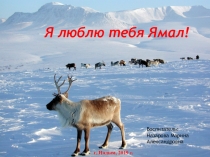 Я люблю тебя Ямал!