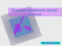 Педагогический проект по физической культуре на тему Внутренние органы человека (1 класс)