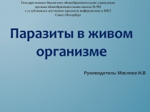Презентация Паразиты в живом организме