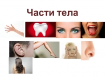 Презентация по английскому языку Части тела