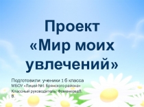 Проектная деятельность Мир моих увлечений