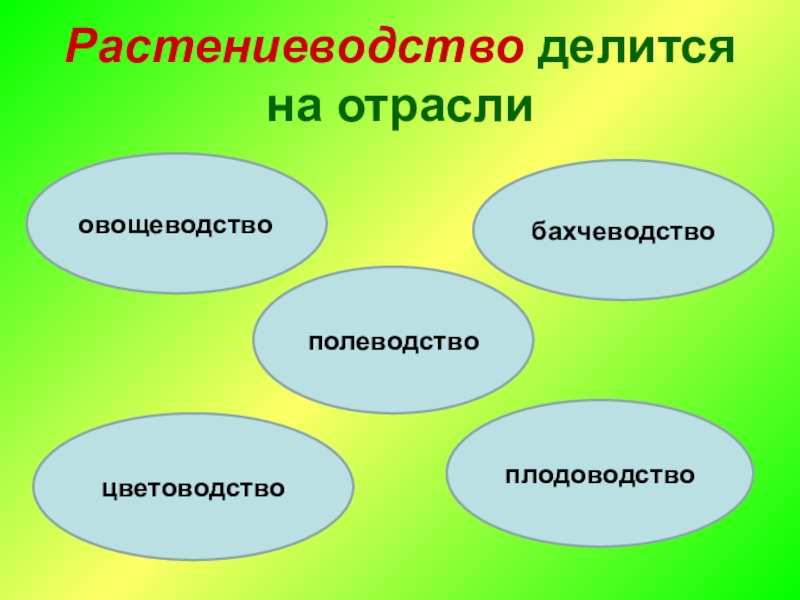 На какие отрасли делится растениеводство заполни схему